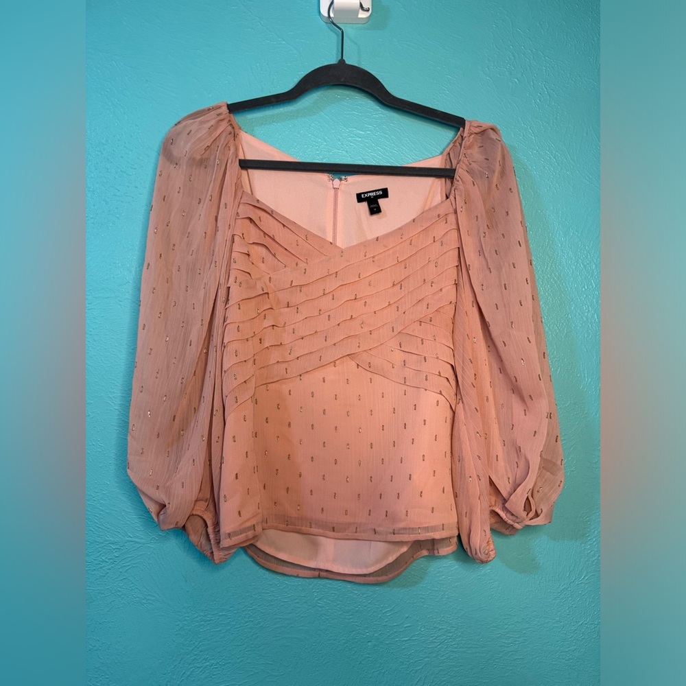 Express Pink Blouse with Sheer Sleeves